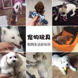 狗狗玩具耐咬幼犬泰迪金毛小大型犬训练磨牙发声球宠物用品狗玩具