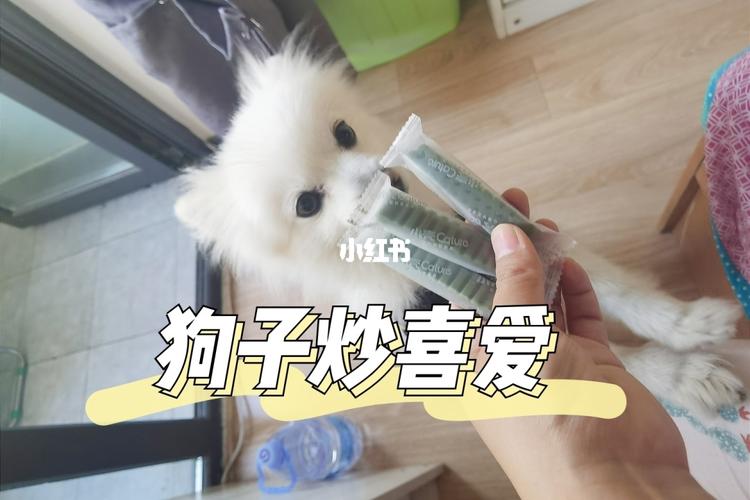 新手养狗如何挑选洁齿产品_新手_狗狗_鸡肉_猕猴桃_刷牙_cature怎么样