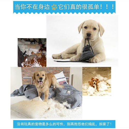 小型犬狗狗玩具用品耐咬尖惨叫鸡宠物泰迪幼犬发声磨牙训练球大犬