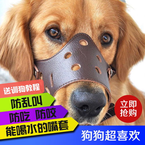 狗狗嘴套狗口罩金毛萨摩马小中大型犬防咬叫乱吃宠物狗狗用品嘴套